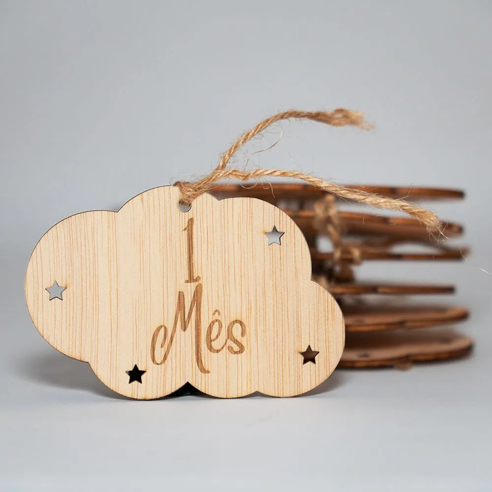 B.BachVibes - Emblemas de bebê de madeira - Conjunto com 14 discos mensais - Ideal para fotos de recém-nascidos e presente para chá de bebê (Portugues)