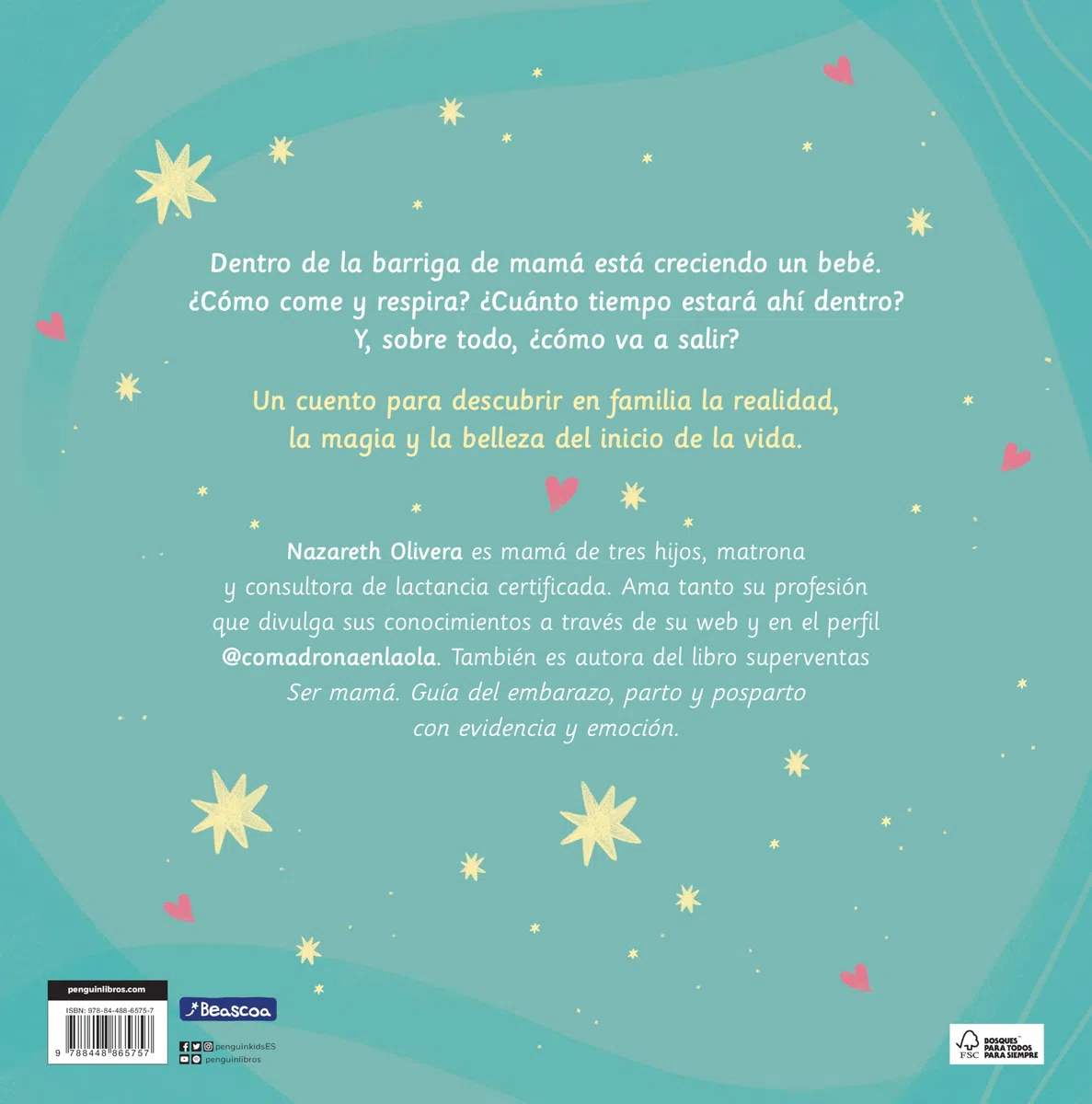 Nace un bebé. Un cuento sobre lo que pasa dentro de la barriga de mamá (Pequeños curiosos)