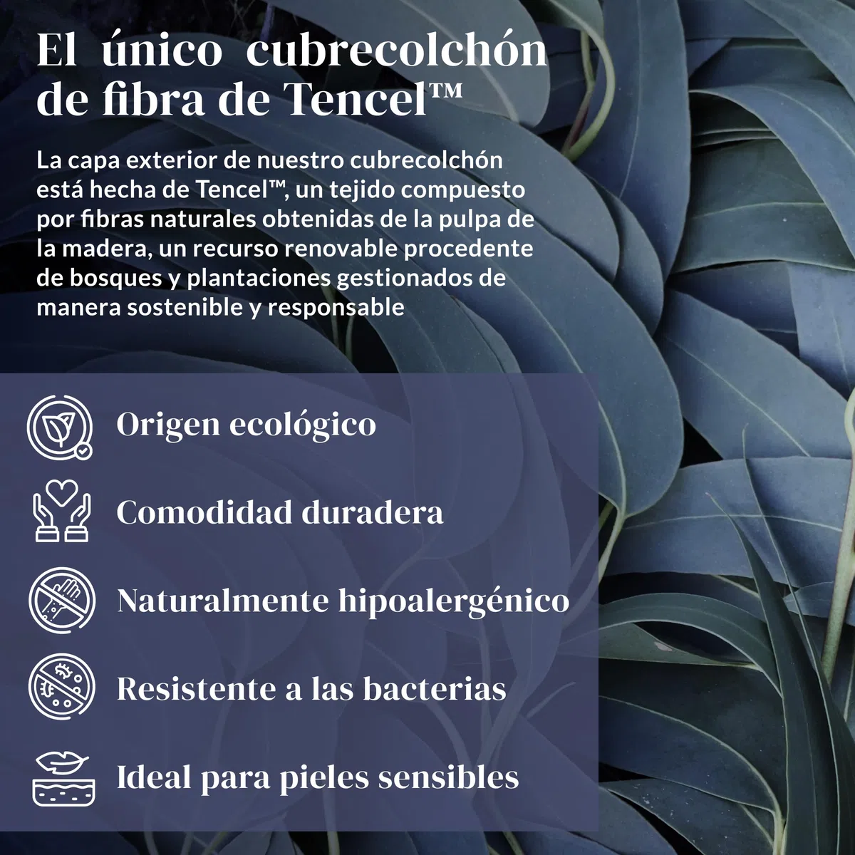 Ferò Protector Colchon Cuna 60x120, Cubre Colchon Impermeable Premium de Tencel Natural Oeko-Tex, Transpirable, Antiácaros, Silencioso, con Esquinas Elásticas, Altura hasta 15 cm